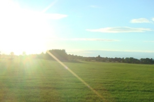 Sunny Day