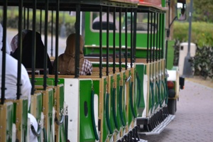 Missed the train? It will soon be back! (Safa Park, Dubai, April 2011)